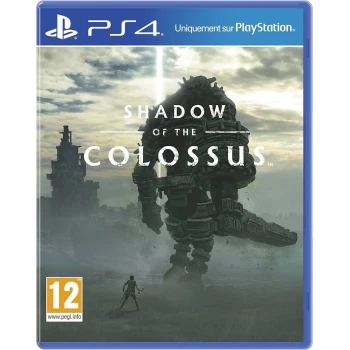 Joc PlayStation 4 Shadow of the Colossus