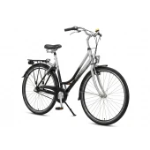 Bicicleta Bikkel