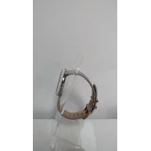 Ceas Fossil ES4381