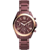 Ceas Fossil BQ3281