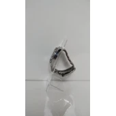 Ceas Festina F16242