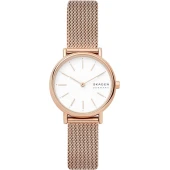 Ceas Skagen SKW2694