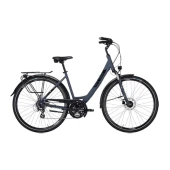 Bicicleta Pegasus Piazza SF13