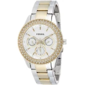 Ceas Fossil ES2944