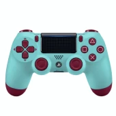 Controller Joystick PS4 CUH-ZCT1H