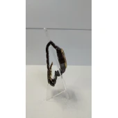 Ceas Fossil CE-1044
