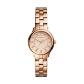 Ceas Fossil BQ1571