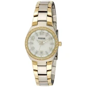 Ceas Fossil AM4183