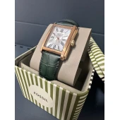 Ceas Fossil FS6077