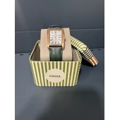 Ceas Fossil FS6077